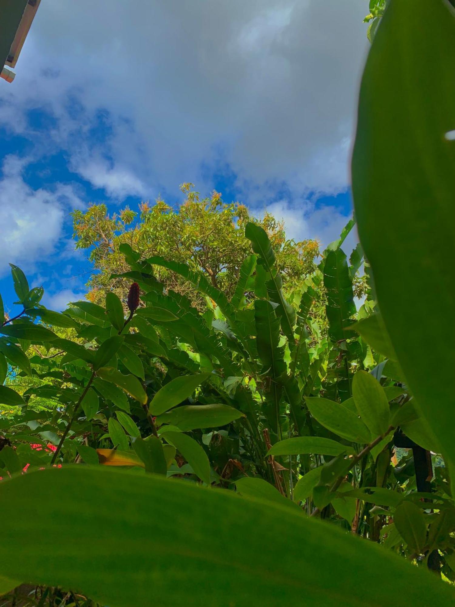 Le Petit Paradis โรโซ ภายนอก รูปภาพ