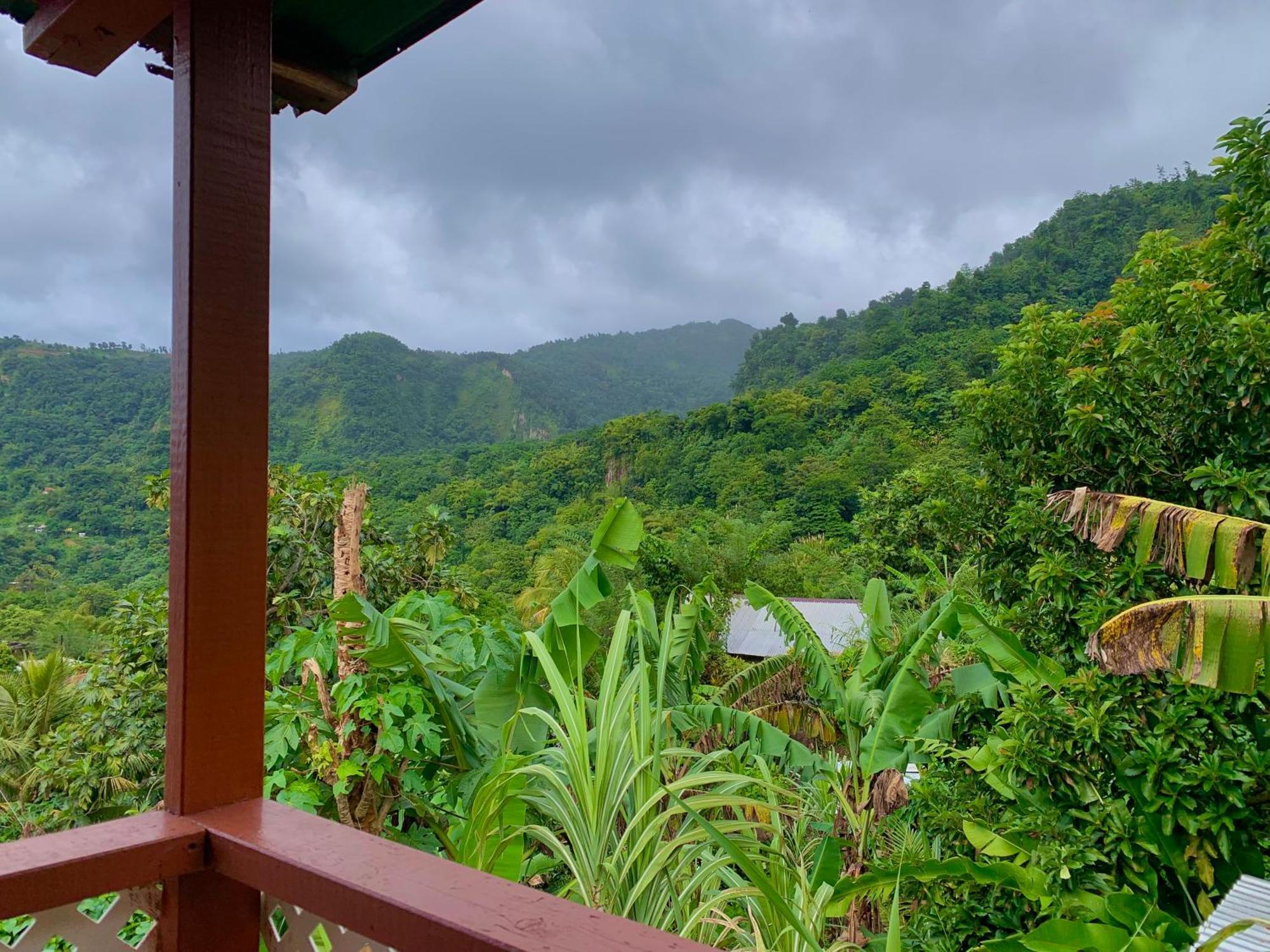 Le Petit Paradis โรโซ ภายนอก รูปภาพ