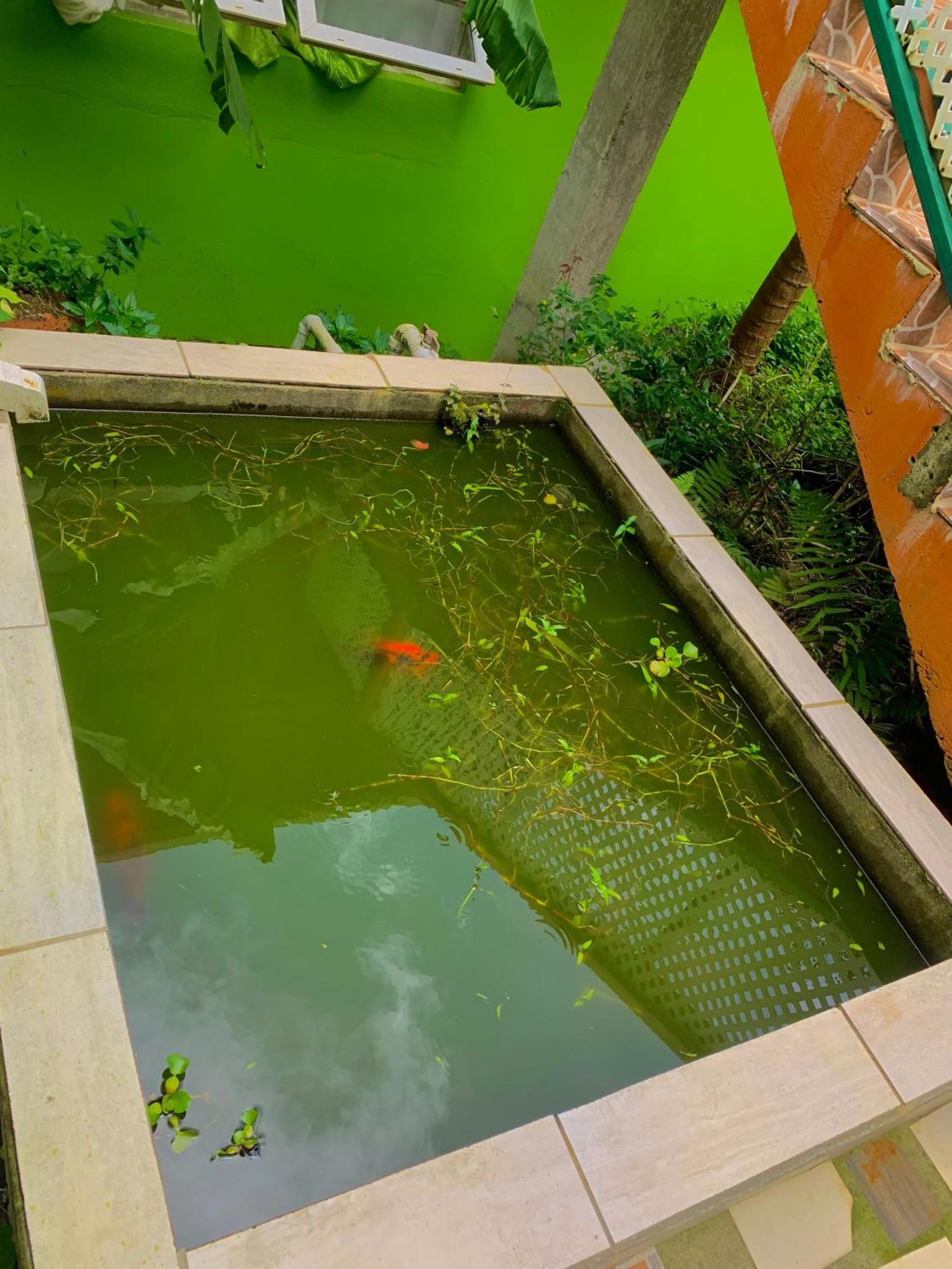 Le Petit Paradis โรโซ ภายนอก รูปภาพ
