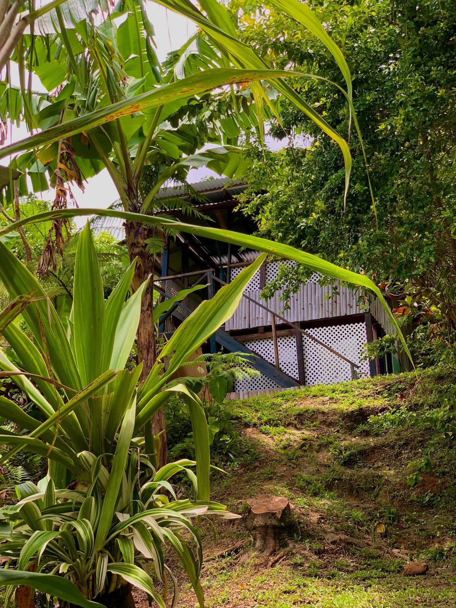 Le Petit Paradis โรโซ ภายนอก รูปภาพ