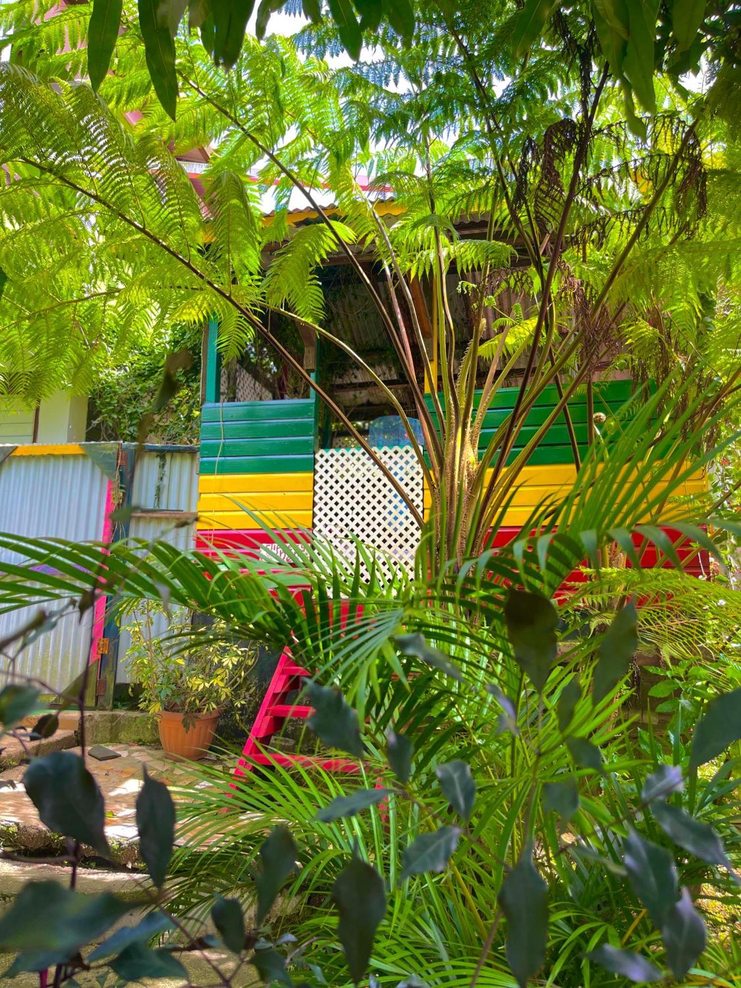 Le Petit Paradis โรโซ ภายนอก รูปภาพ