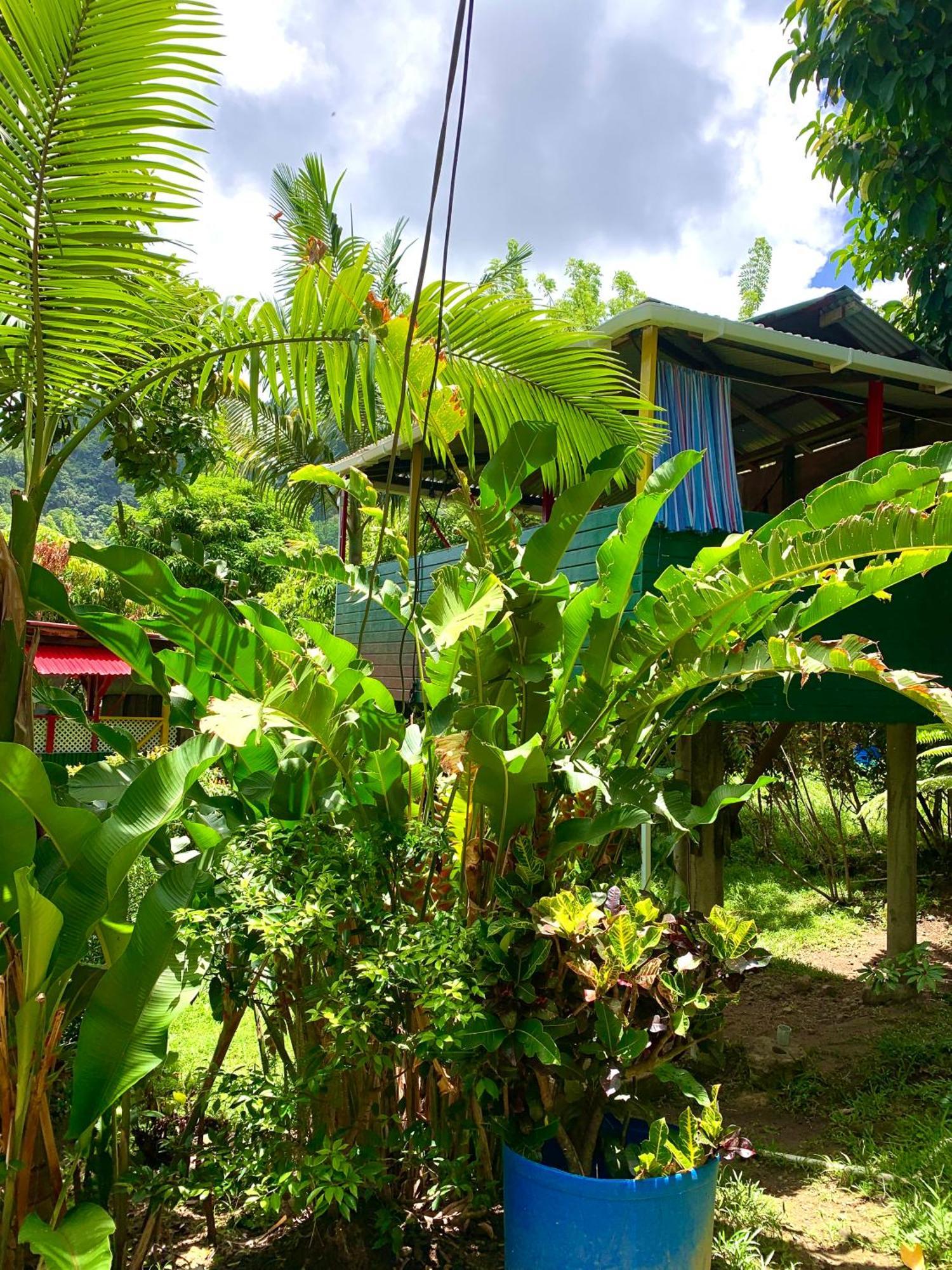 Le Petit Paradis โรโซ ภายนอก รูปภาพ