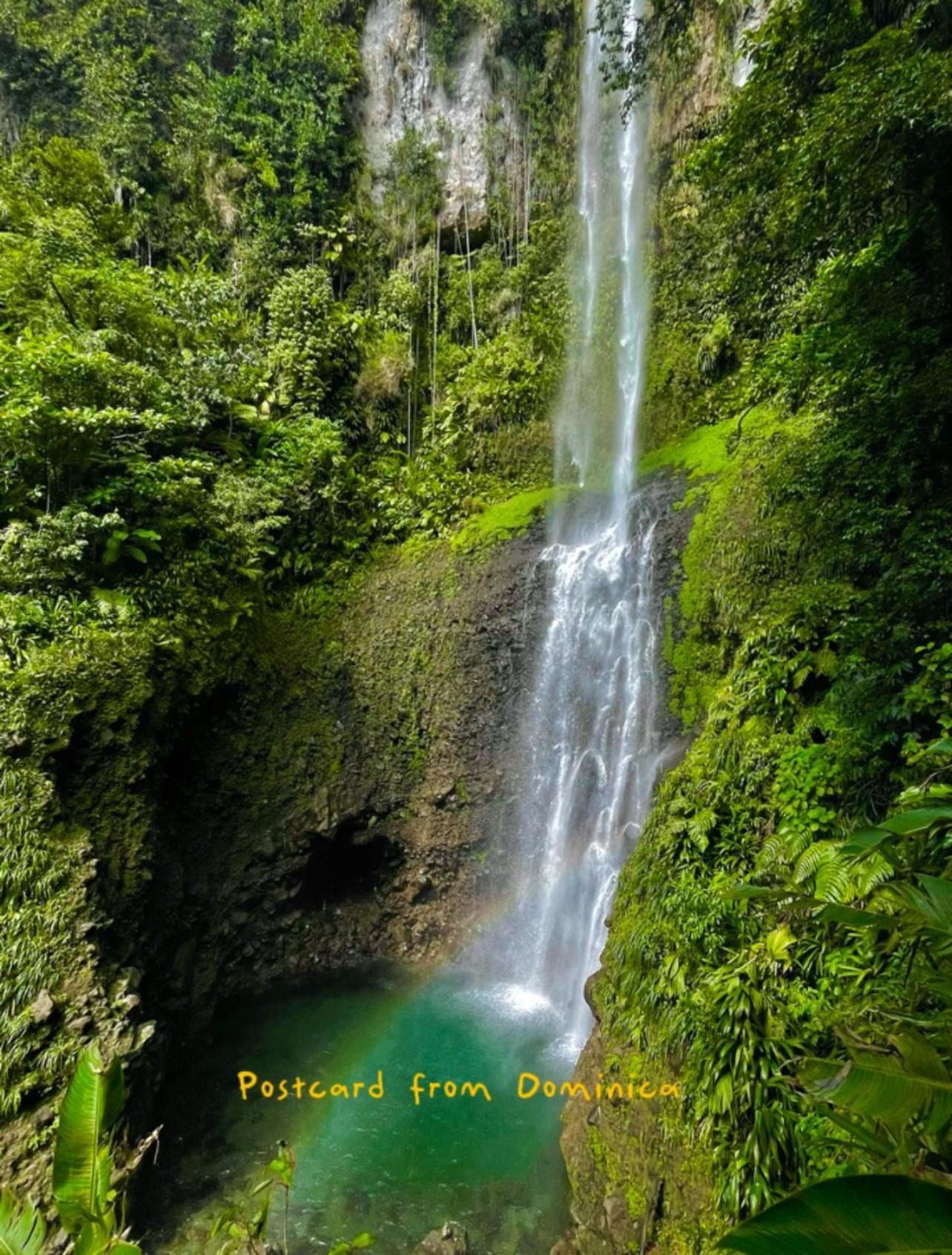 Le Petit Paradis โรโซ ภายนอก รูปภาพ